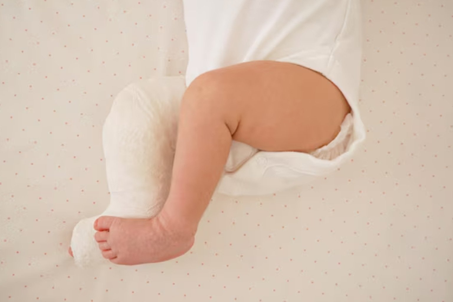 Pes Ekinovarus (PEV)